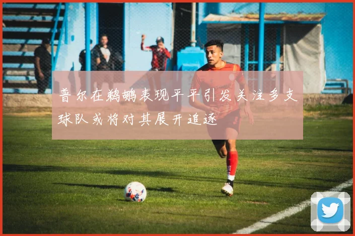 普尔在鹈鹕表现平平引发关注多支球队或将对其展开追逐